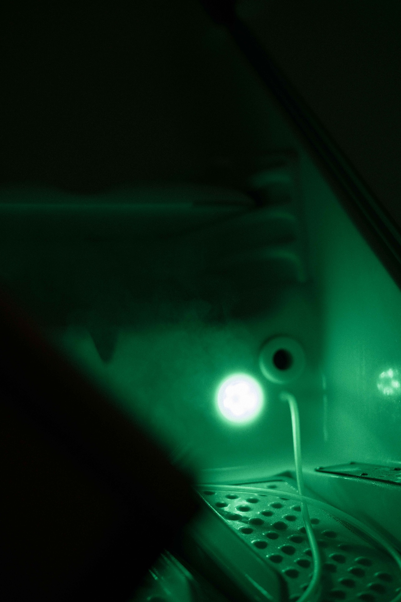 Inside the HOCATT ozone sauna pod with green photon light therapy at The Pro2col Nashville